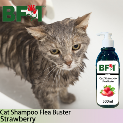 Cat Shampoo Flea Buster (CSO-Cat) - Strawberry - 500ml ⭐⭐⭐⭐⭐