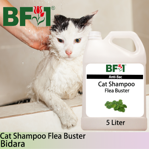 Cat Shampoo Flea Buster (CSO-Cat) - Bidara - 5L ⭐⭐⭐⭐⭐