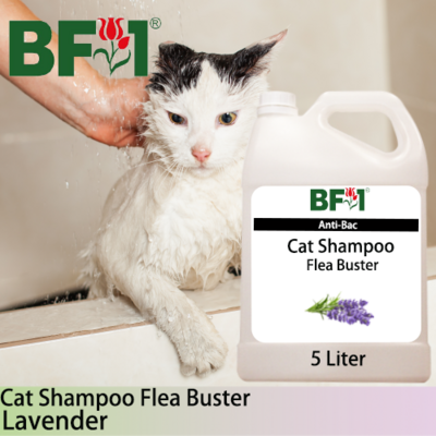 Cat Shampoo Flea Buster (CSO-Cat) - Lavender - 5L ⭐⭐⭐⭐⭐