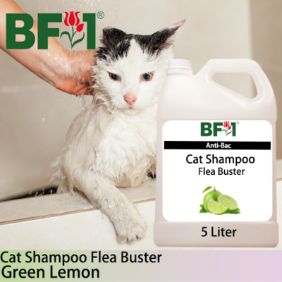 Cat Shampoo Flea Buster (CSO-Cat) - Lemon - Green Lemon - 5L ⭐⭐⭐⭐⭐