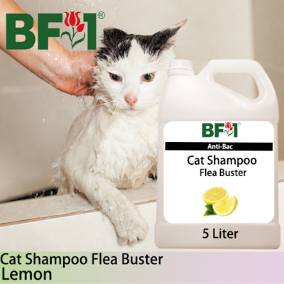 Cat Shampoo Flea Buster (CSO-Cat) - Lemon - 5L ⭐⭐⭐⭐⭐