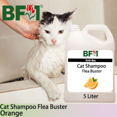 Cat Shampoo Flea Buster (CSO-Cat) - Orange - 5L ⭐⭐⭐⭐⭐