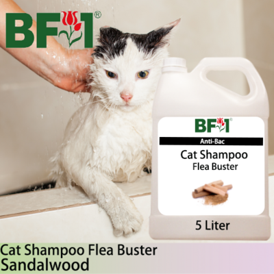Cat Shampoo Flea Buster (CSO-Cat) - Sandalwood - 5L ⭐⭐⭐⭐⭐