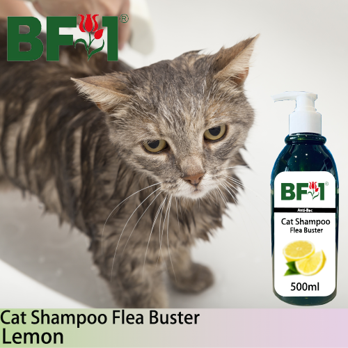 Cat Shampoo Flea Buster (CSO-Cat) - Lemon - 500ml ⭐⭐⭐⭐⭐