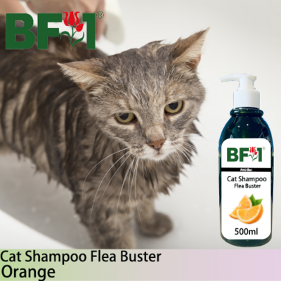 Cat Shampoo Flea Buster (CSO-Cat) - Orange - 500ml ⭐⭐⭐⭐⭐