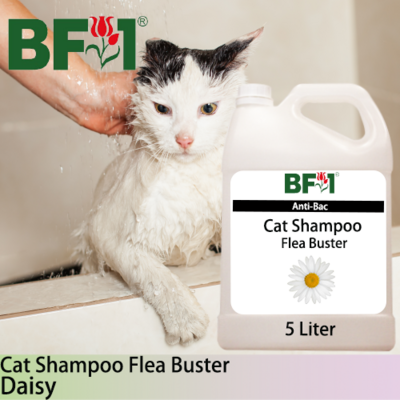 Cat Shampoo Flea Buster (CSO-Cat) - Daisy - 5L ⭐⭐⭐⭐⭐