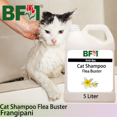 Cat Shampoo Flea Buster (CSO-Cat) - Frangipani - 5L ⭐⭐⭐⭐⭐