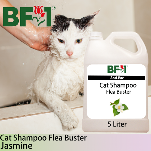 Cat Shampoo Flea Buster (CSO-Cat) - Jasmine - 5L ⭐⭐⭐⭐⭐