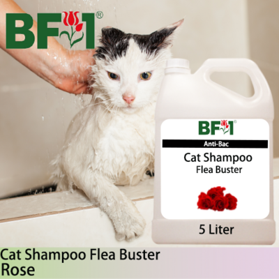 Cat Shampoo Flea Buster (CSO-Cat) - Rose - 5L ⭐⭐⭐⭐⭐
