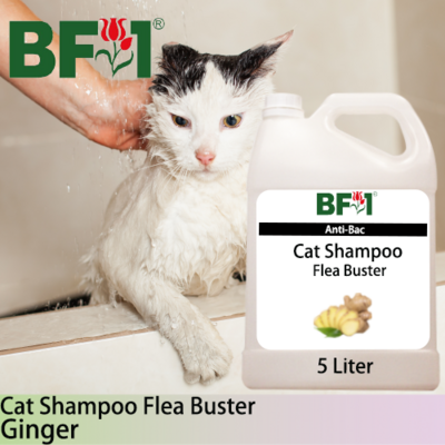 Cat Shampoo Flea Buster (CSO-Cat) - Ginger - 5L ⭐⭐⭐⭐⭐