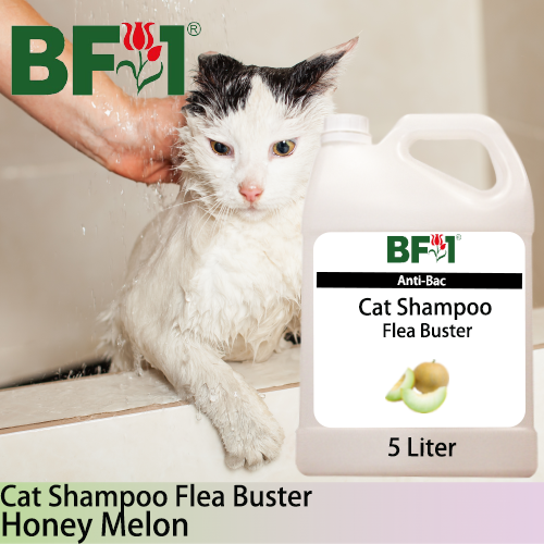 Cat Shampoo Flea Buster (CSO-Cat) - Honey Melon - 5L ⭐⭐⭐⭐⭐