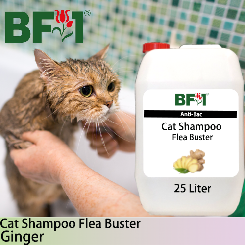 Cat Shampoo Flea Buster (CSO-Cat) - Ginger - 25L ⭐⭐⭐⭐⭐