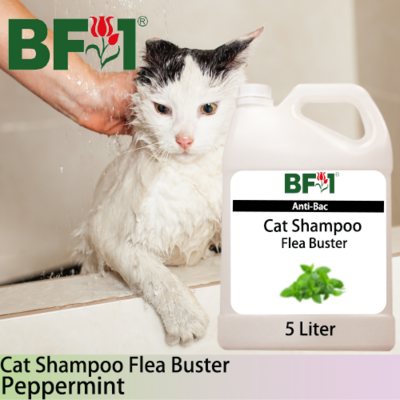 Cat Shampoo Flea Buster (CSO-Cat) - mint - Peppermint - 5L ⭐⭐⭐⭐⭐