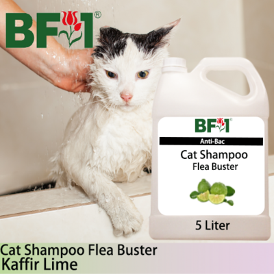 Cat Shampoo Flea Buster (CSO-Cat) - lime - Kaffir Lime - 5L ⭐⭐⭐⭐⭐