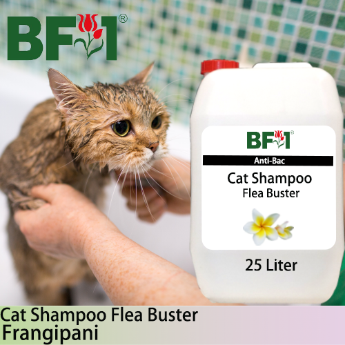 Cat Shampoo Flea Buster (CSO-Cat) - Frangipani - 25L ⭐⭐⭐⭐⭐