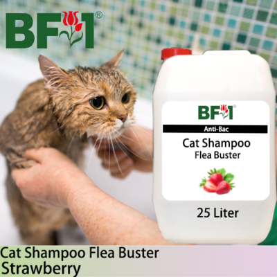 Cat Shampoo Flea Buster (CSO-Cat) - Strawberry - 25L ⭐⭐⭐⭐⭐