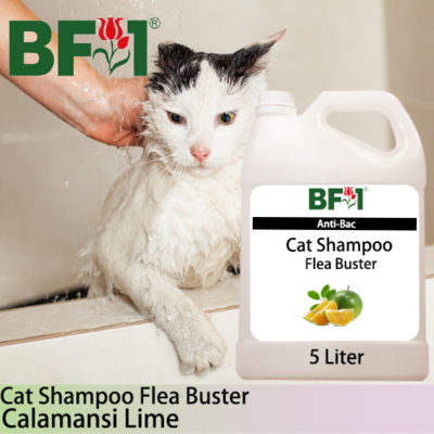 Cat Shampoo Flea Buster (CSO-Cat) - lime - Calamansi Lime - 5L ⭐⭐⭐⭐⭐