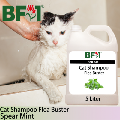 Cat Shampoo Flea Buster (CSO-Cat) - mint - Spear Mint - 5L ⭐⭐⭐⭐⭐