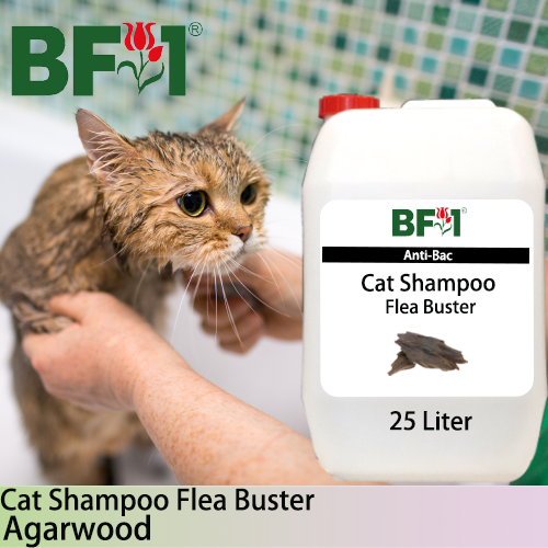 Cat Shampoo Flea Buster (CSO-Cat) - Agarwood - 25L ⭐⭐⭐⭐⭐
