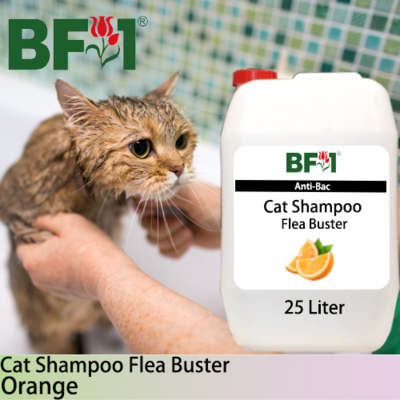 Cat Shampoo Flea Buster (CSO-Cat) - Orange - 25L ⭐⭐⭐⭐⭐