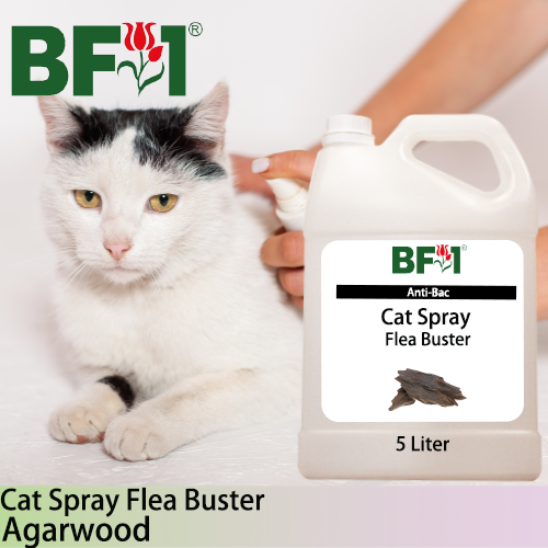 Cat Spray Flea Buster (CSY-Cat) - Agarwood - 5L ⭐⭐⭐⭐⭐