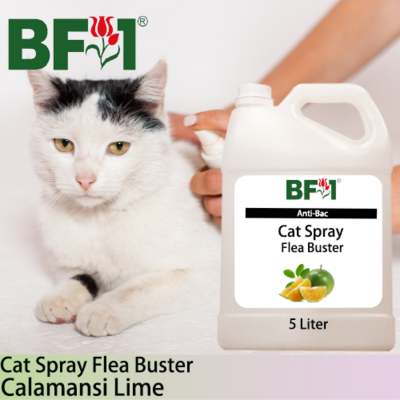 Cat Spray Flea Buster (CSY-Cat) - lime - Calamansi Lime - 5L ⭐⭐⭐⭐⭐