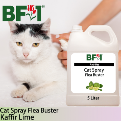 Cat Spray Flea Buster (CSY-Cat) - lime - Kaffir Lime - 5L ⭐⭐⭐⭐⭐