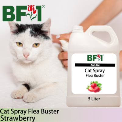 Cat Spray Flea Buster (CSY-Cat) - Strawberry - 5L ⭐⭐⭐⭐⭐