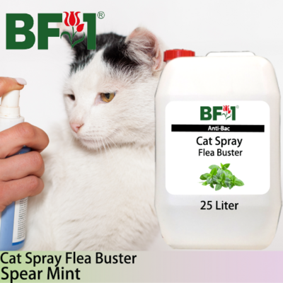 Cat Spray Flea Buster (CSY-Cat) - mint - Spear Mint - 25L ⭐⭐⭐⭐⭐
