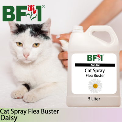 Cat Spray Flea Buster (CSY-Cat) - Daisy - 5L ⭐⭐⭐⭐⭐