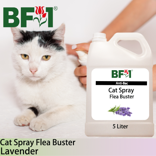 Cat Spray Flea Buster (CSY-Cat) - Lavender - 5L ⭐⭐⭐⭐⭐