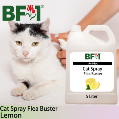 Cat Spray Flea Buster (CSY-Cat) - Lemon - 5L ⭐⭐⭐⭐⭐