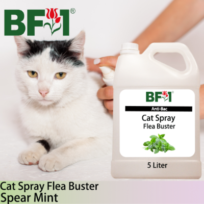 Cat Spray Flea Buster (CSY-Cat) - mint - Spear Mint - 5L ⭐⭐⭐⭐⭐