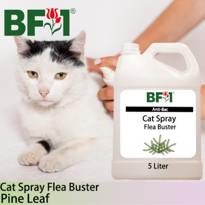 Cat Spray Flea Buster (CSY-Cat) - Pine Leaf - 5L ⭐⭐⭐⭐⭐