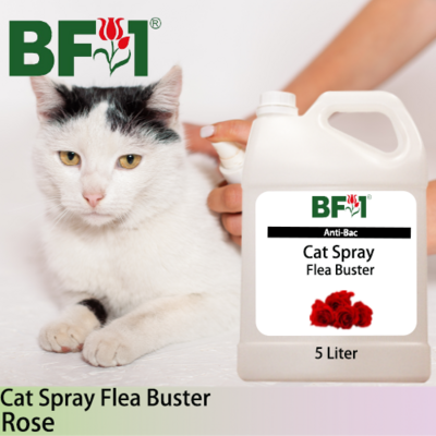 Cat Spray Flea Buster (CSY-Cat) - Rose - 5L ⭐⭐⭐⭐⭐