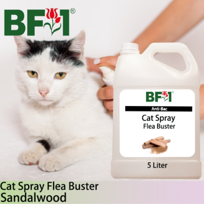 Cat Spray Flea Buster (CSY-Cat) - Sandalwood - 5L ⭐⭐⭐⭐⭐
