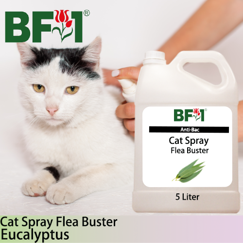 Cat Spray Flea Buster (CSY-Cat) - Eucalyptus - 5L ⭐⭐⭐⭐⭐