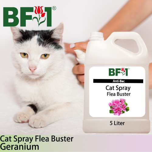 Cat Spray Flea Buster (CSY-Cat) - Geranium - 5L ⭐⭐⭐⭐⭐