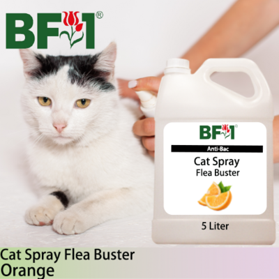 Cat Spray Flea Buster (CSY-Cat) - Orange - 5L ⭐⭐⭐⭐⭐