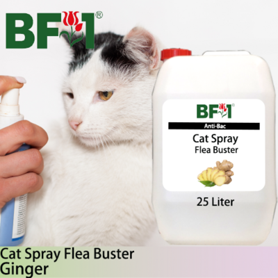 Cat Spray Flea Buster (CSY-Cat) - Ginger - 25L ⭐⭐⭐⭐⭐