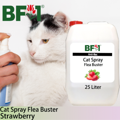 Cat Spray Flea Buster (CSY-Cat) - Strawberry - 25L ⭐⭐⭐⭐⭐
