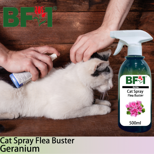 Cat Spray Flea Buster (CSY-Cat) - Geranium - 500ml ⭐⭐⭐⭐⭐