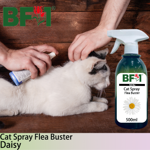 Cat Spray Flea Buster (CSY-Cat) - Daisy - 500ml ⭐⭐⭐⭐⭐