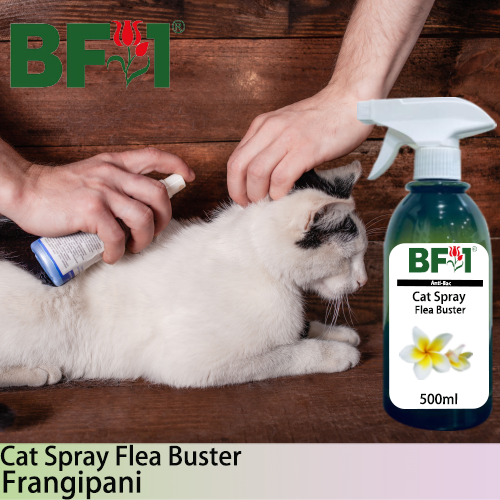 Cat Spray Flea Buster (CSY-Cat) - Frangipani - 500ml ⭐⭐⭐⭐⭐