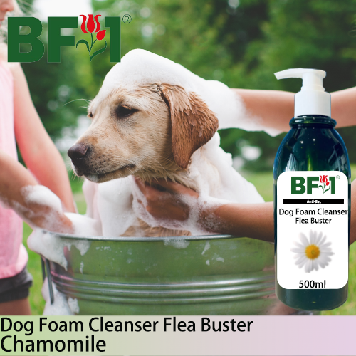 Dog Foam Cleanser Flea Buster (DFC-Dog) - Chamomile - 500ml ⭐⭐⭐⭐⭐