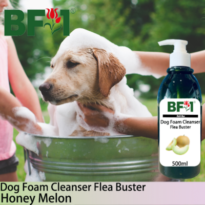 Dog Foam Cleanser Flea Buster (DFC-Dog) - Honey Melon - 500ml ⭐⭐⭐⭐⭐