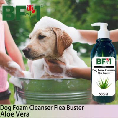 Dog Foam Cleanser Flea Buster (DFC-Dog) - Aloe Vera - 500ml ⭐⭐⭐⭐⭐