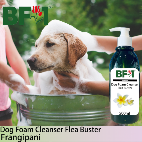 Dog Foam Cleanser Flea Buster (DFC-Dog) - Frangipani - 500ml ⭐⭐⭐⭐⭐
