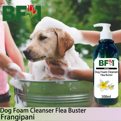 Dog Foam Cleanser Flea Buster (DFC-Dog) - Frangipani - 500ml ⭐⭐⭐⭐⭐