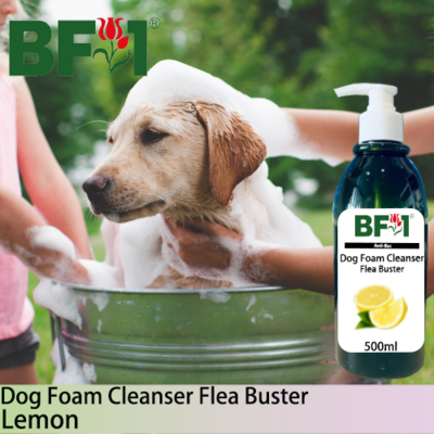 Dog Foam Cleanser Flea Buster (DFC-Dog) - Lemon - 500ml ⭐⭐⭐⭐⭐